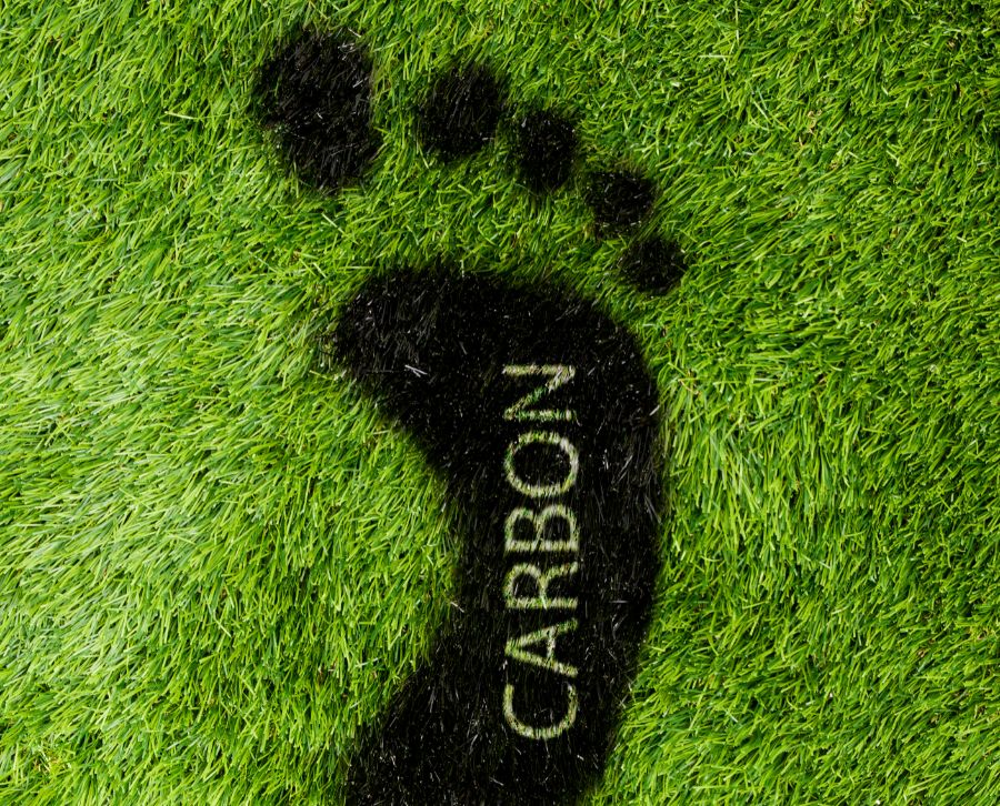 Carbon neutrality cruises into the automotive industry