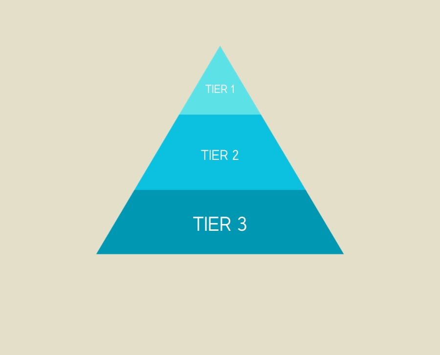 What is a Tier 1 automotive company?